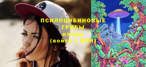 винт Богданович