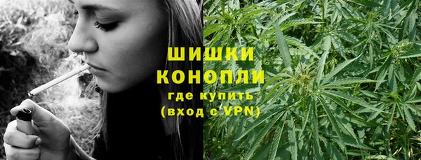 винт Богданович