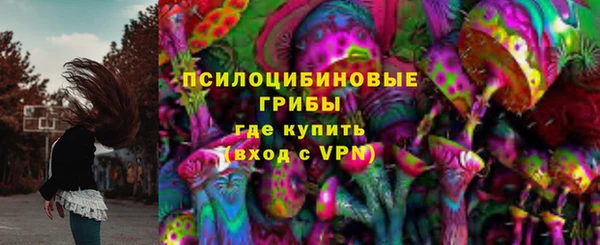синтетический гашиш Богородицк