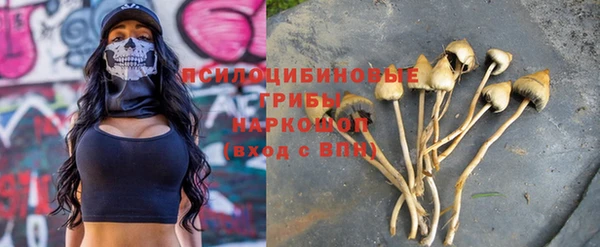 синтетический гашиш Богородицк