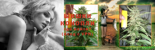 спиды Богородск