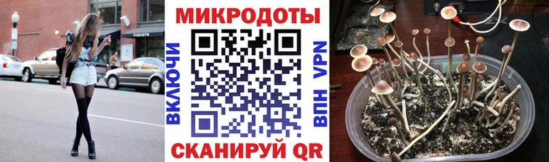 Псилоцибиновые грибы прущие грибы  где можно купить наркотик  hydra зеркало  Комсомольск-на-Амуре 